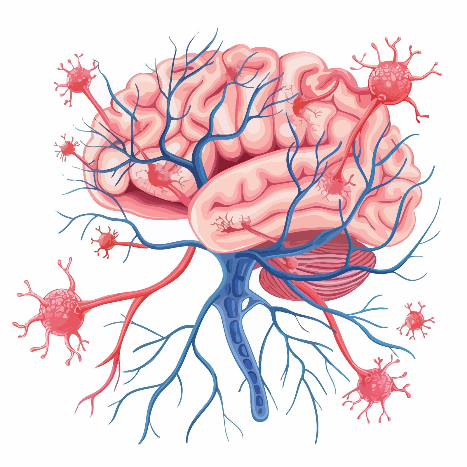 Autoimmune Neurological Conditions